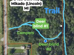 2425 S Buhl Rd, Mikado, MI 48745