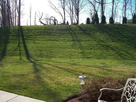 Beautiful Private View