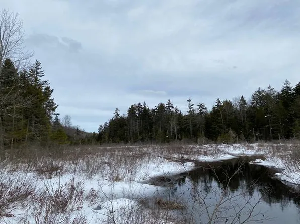 1.9 Reeds Mills Rd #9, Forestport, NY 13338