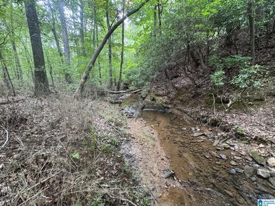 County Road 639, Roanoke, AL, 36274