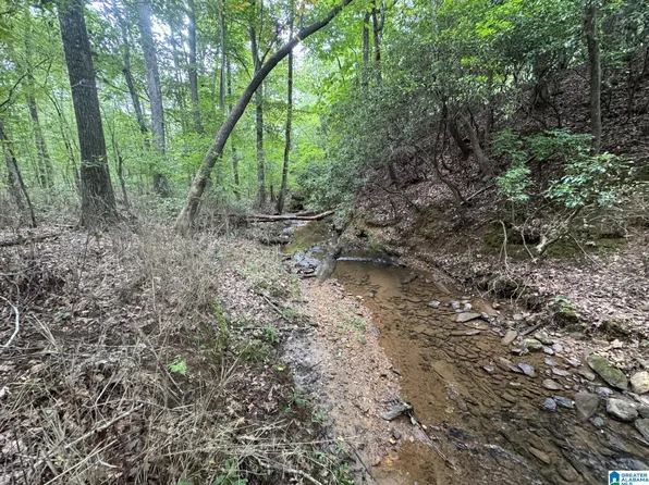 County Road 639, Roanoke, AL 36274