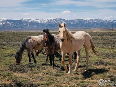 Jackson County Road 26, Walden, CO, 80480