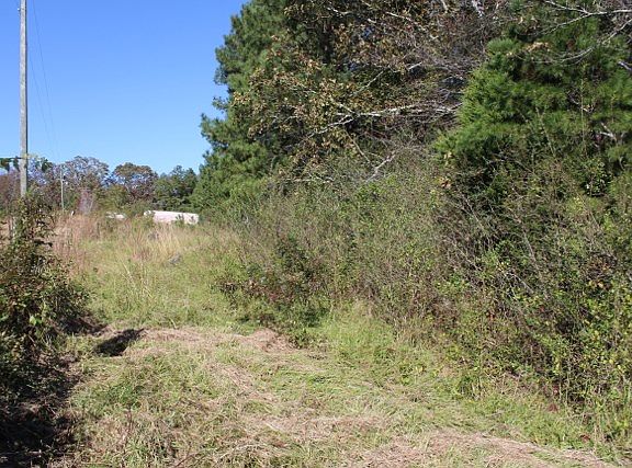 4th image of 275 Saddletree Ln