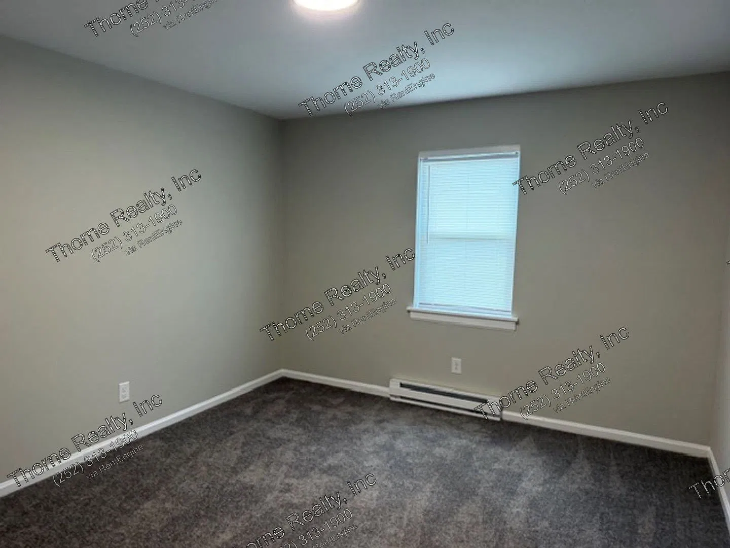 117 Photinia Ct — Photo 3