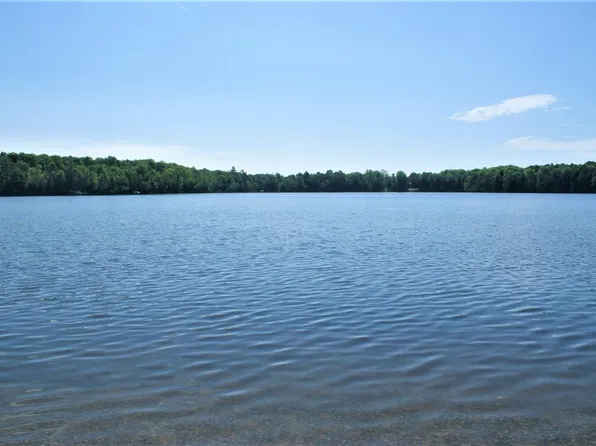 0 Forest Ln Lot 65, Long Lake, WI 54542