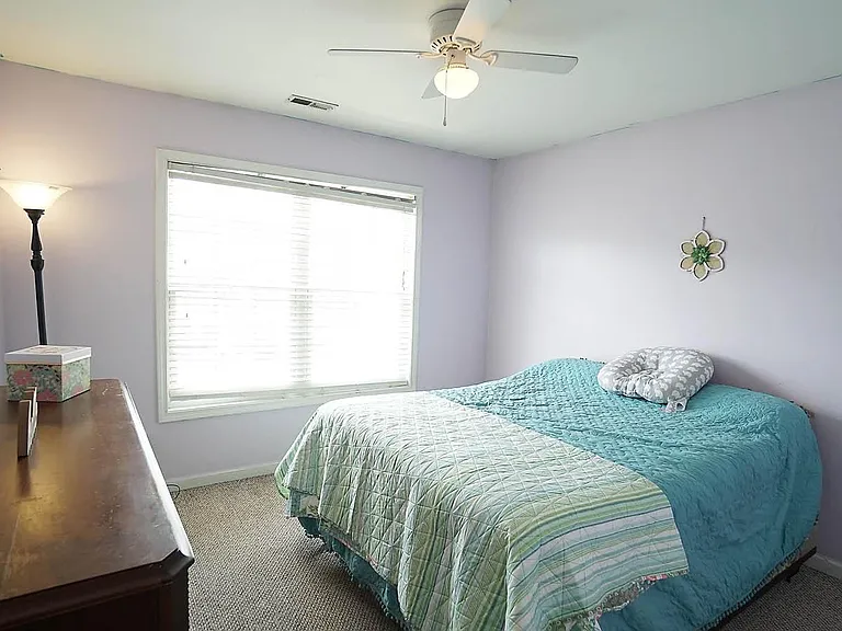 4320 Bay Rum Ln — Photo 19