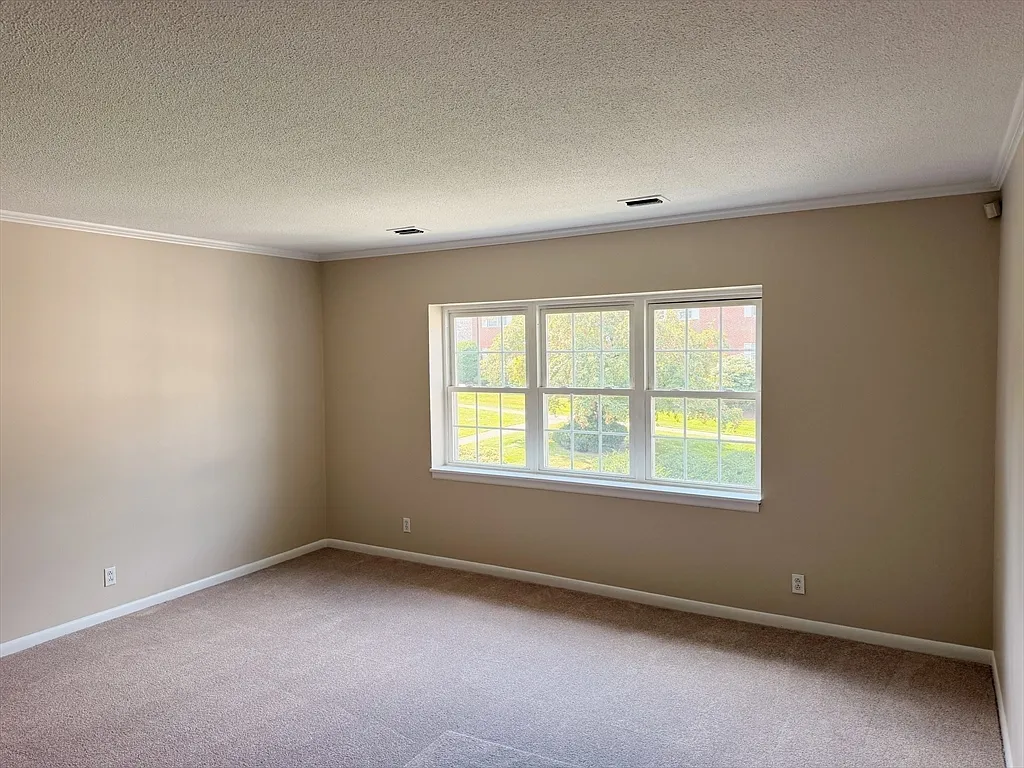 3 bed, 2.0 bath, 1057 sqft, $3,450 — Photo 4
