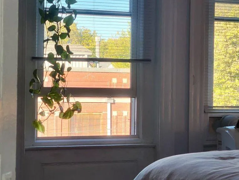 219 W Hill St #2 — Photo 14