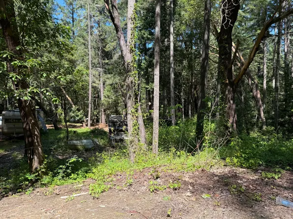 Sunny Valley Loop, Wolf Creek, OR 97497