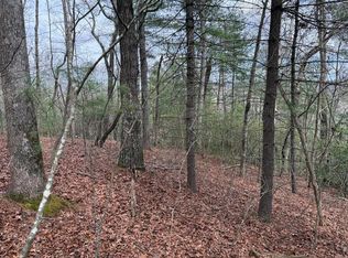 13 Frances Dr, Ellijay, GA 30536