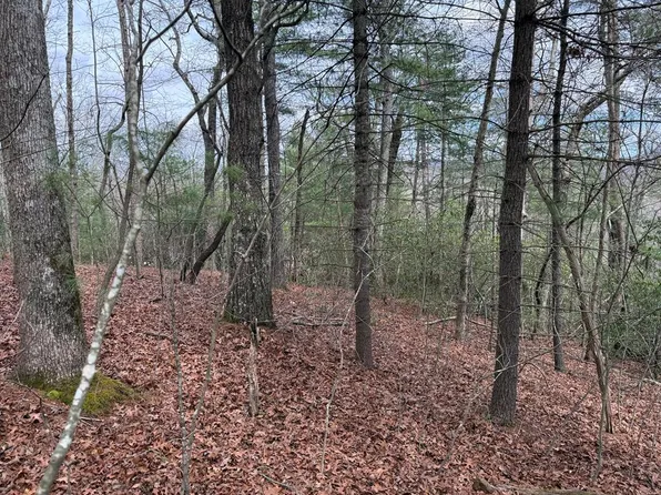 13 Frances Dr, Ellijay, GA 30536