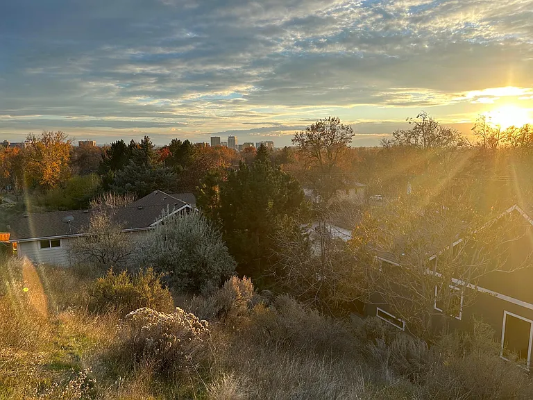 View from inside the fenced yard, house is on the lower right, with view of downtown straight ahead