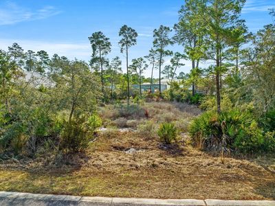 34 Seabreeze Forest Ln, Inlet Beach, FL, 32461