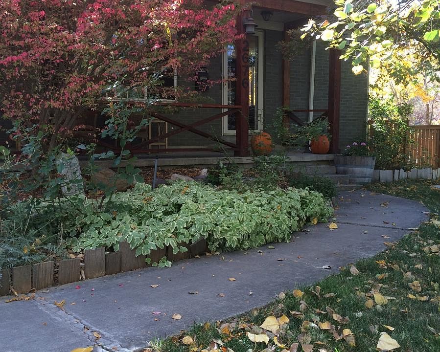 Front Entry