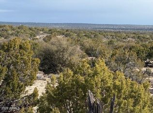 N7421 N 7421st #20637003, Saint Johns, AZ 85936