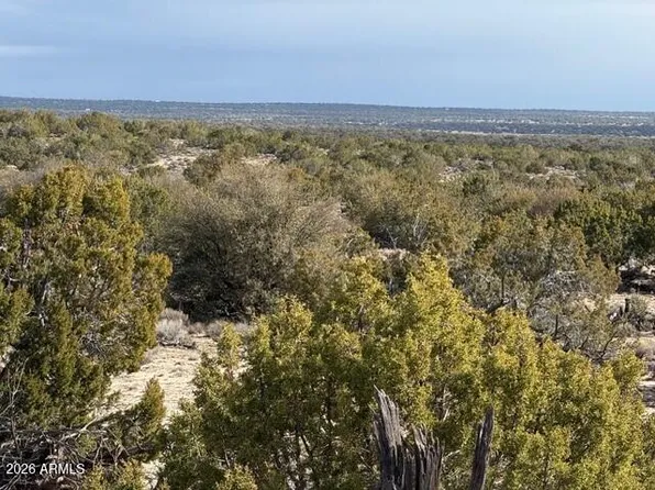 N7421 N n7421 -- #20637003, St Johns, AZ 85936