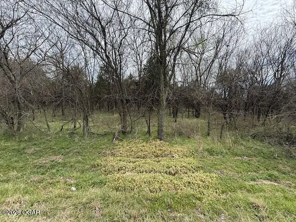 Xxx2 County Rd Tract 90-2, Sarcoxie, MO 64862