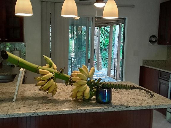 Eating granite countertops