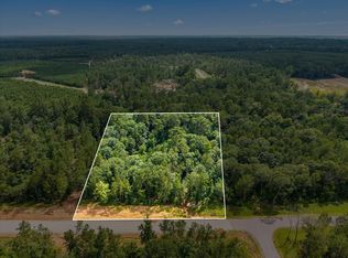 11546 Bramble Ct, Willis, TX 77378