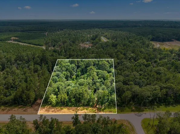 11546 Bramble Ct, Willis, TX 77378