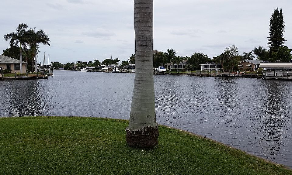 VIEW OUTSIDE CONDO WINDOWS