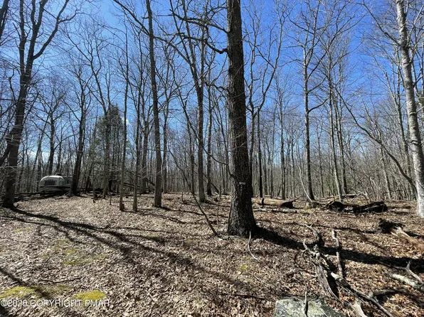 Berry Ln #217, Cresco, PA 18326