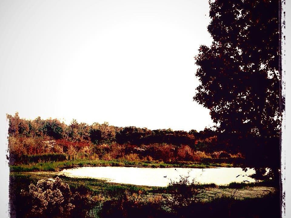 2nd image of 10411 Deepbrook Dr