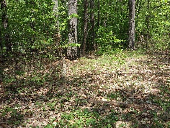 5th image of 0 Pine Drive