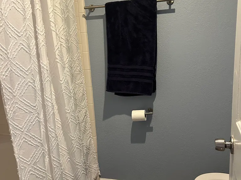 Master bath shower and toilet