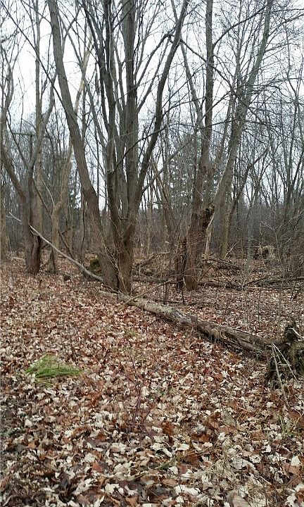 2nd image of Remsen Rd