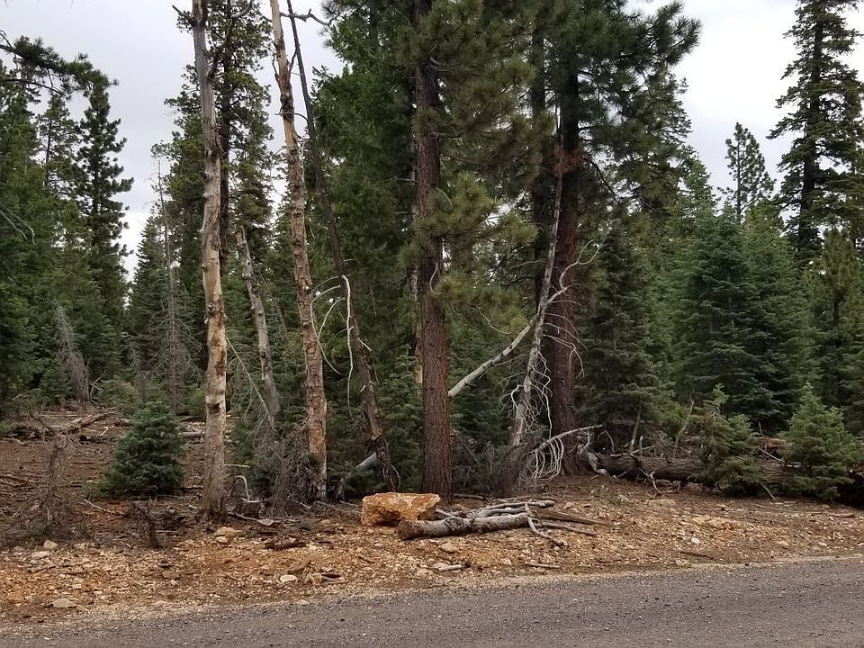 2nd image of 385 E Rim Rd