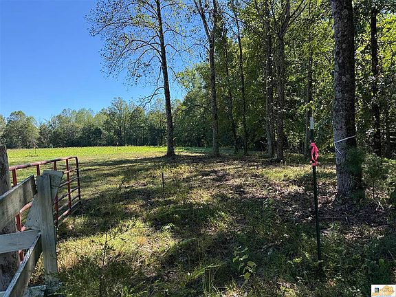 2nd image of 810 Clear Springs Rd