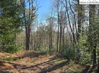 Tbd Timber Ridge Rd, Millers Creek, NC 28651