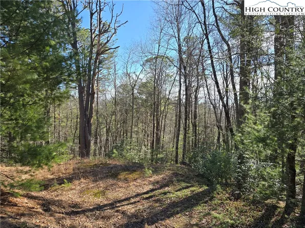 TBD Timber Ridge Road, Millers Creek, NC 28651