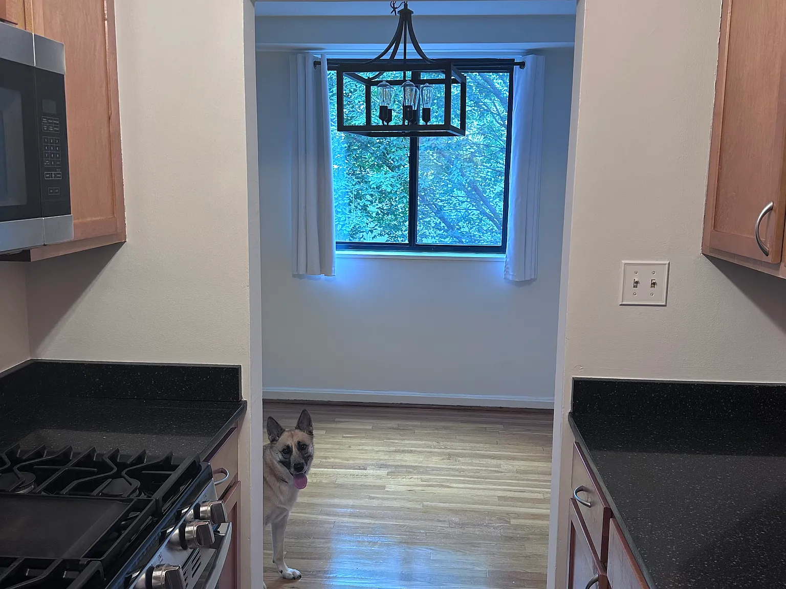 1 bed, 704 sqft, $2,100 — Photo 2