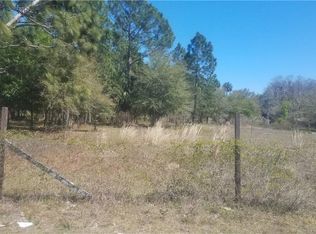 511 Leonardy Ave, Osteen, FL 32764