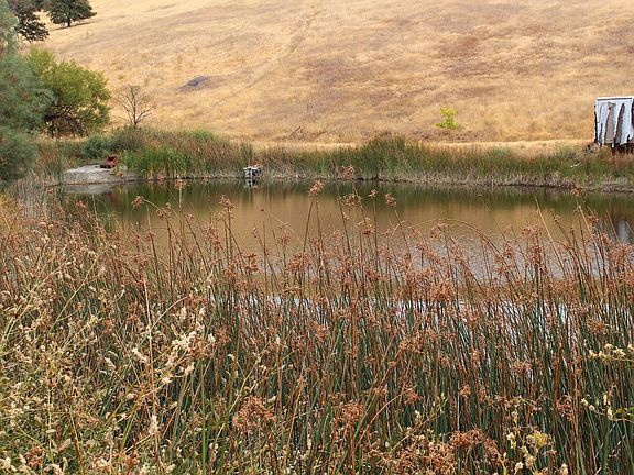 3rd image of 8740 Rocky Creek Road