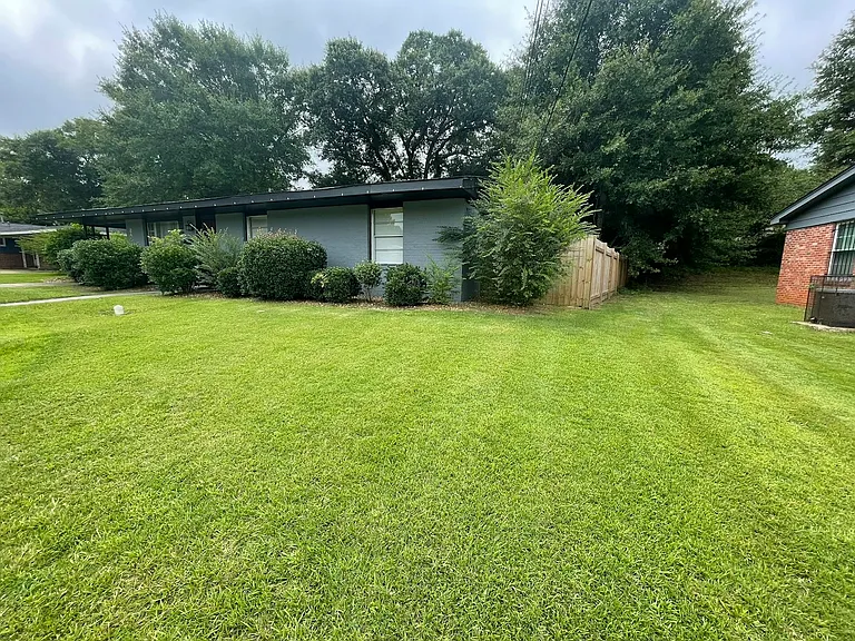 Front yard 1
