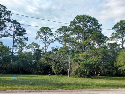 1723 Spacey Dr, Carrabelle, FL, 32322