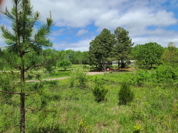 Blackland Rd, Pleasant Plains, AR 72568