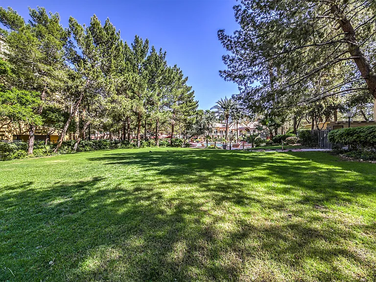 210 E Flamingo Rd #330 — Photo 46