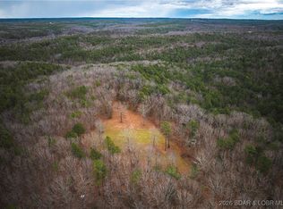 56.36 Slaughter Rd, Licking, MO 65542