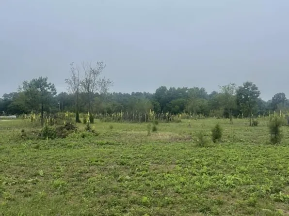 Tbd Rummage Pack House Road, Ellerbe, NC 28338