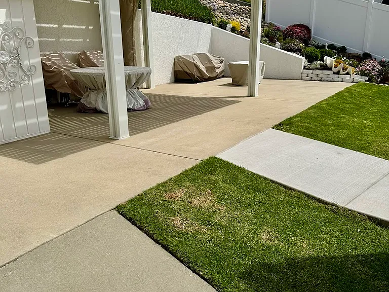 572 Harloe Ave — Photo 20