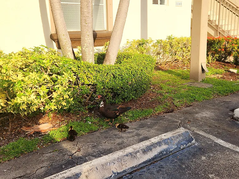 1180 NW 125th Path — Photo 44