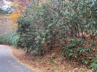 Lot 10 Gold Creek Road, Sapphire, NC, 28774