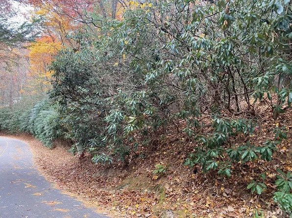 Lot 10 Gold Creek Road, Sapphire, NC 28774