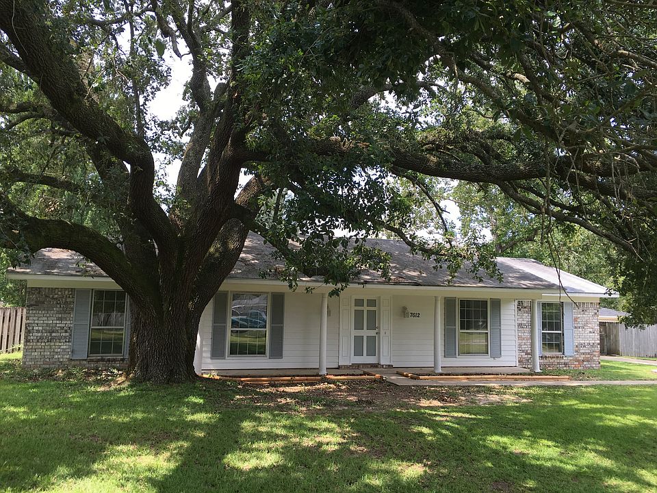 Beautiful Oak in the Front