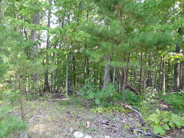 2nd image of 124 Pineridge Loop