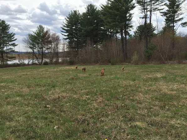 387 Pond Hill Mountain Rd, Wapwallopen, PA 18660